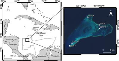 Climate Change and Atlantic Multidecadal Oscillation as Drivers of Recent Declines in Coral Growth Rates in the Southwestern Caribbean